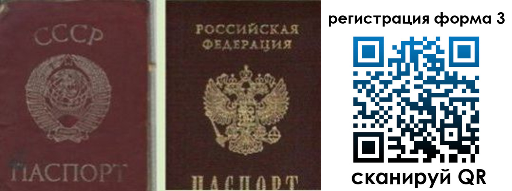 прописка для школы в Лесном
